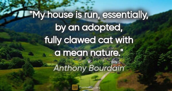 Anthony Bourdain quote: "My house is run, essentially, by an adopted, fully clawed cat..."