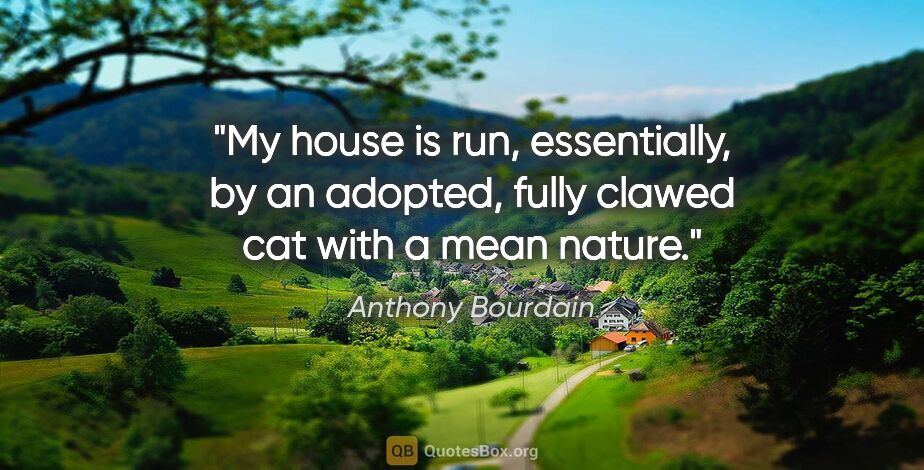 Anthony Bourdain quote: "My house is run, essentially, by an adopted, fully clawed cat..."