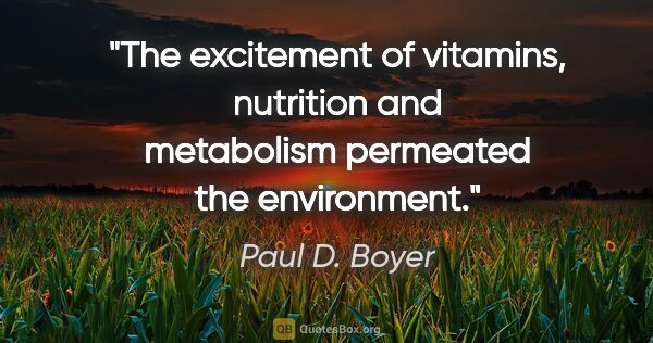 Paul D. Boyer quote: "The excitement of vitamins, nutrition and metabolism permeated..."