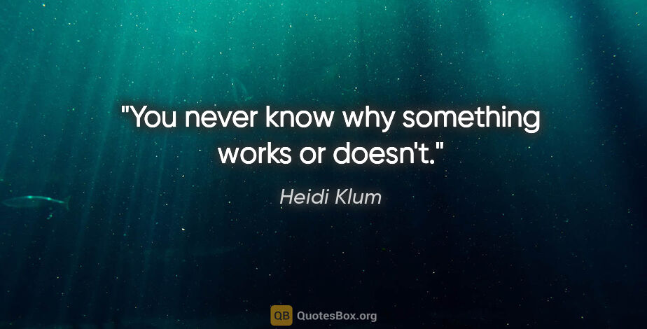 Heidi Klum quote: "You never know why something works or doesn't."