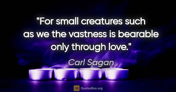 Carl Sagan quote: "For small creatures such as we the vastness is bearable only..."