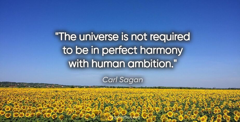 Carl Sagan quote: "The universe is not required to be in perfect harmony with..."