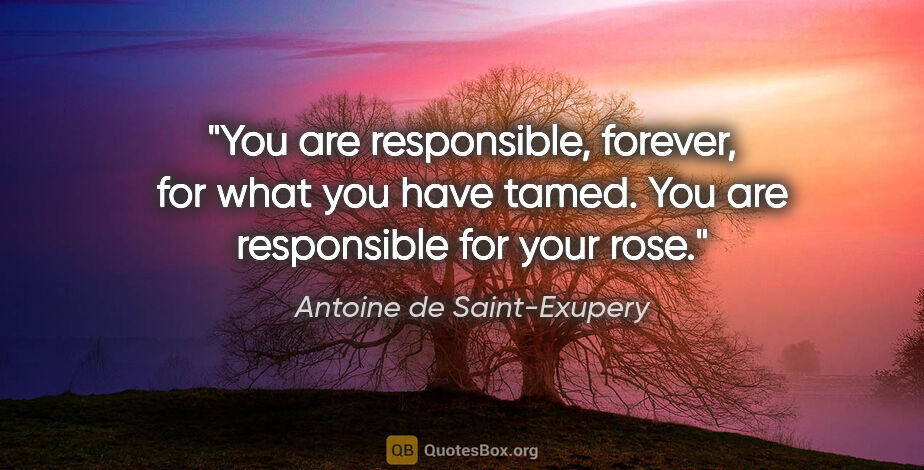 Antoine de Saint-Exupery quote: "You are responsible, forever, for what you have tamed. You are..."