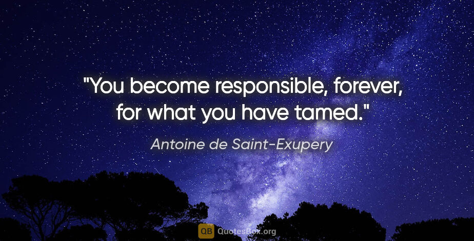 Antoine de Saint-Exupery quote: "You become responsible, forever, for what you have tamed."