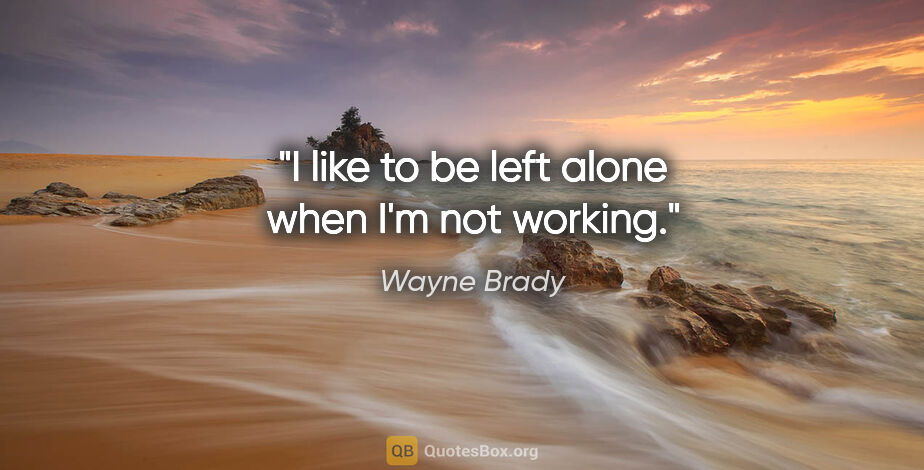 Wayne Brady quote: "I like to be left alone when I'm not working."