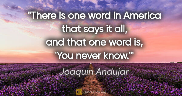 Joaquin Andujar quote: "There is one word in America that says it all, and that one..."