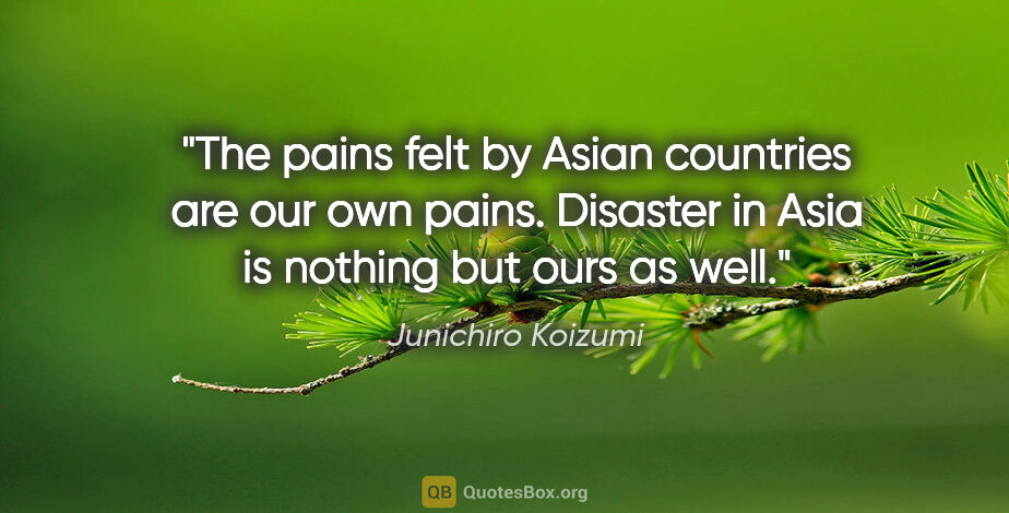 Junichiro Koizumi quote: "The pains felt by Asian countries are our own pains. Disaster..."