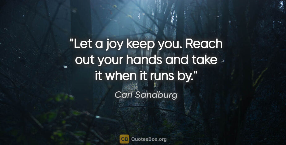 Carl Sandburg quote: "Let a joy keep you. Reach out your hands and take it when it..."