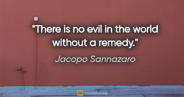 Jacopo Sannazaro quote: "There is no evil in the world without a remedy."