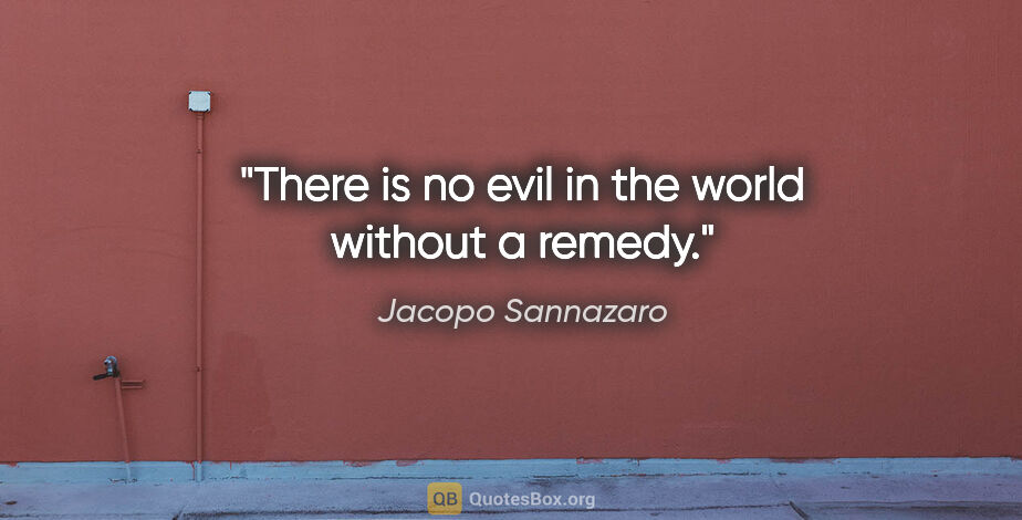 Jacopo Sannazaro quote: "There is no evil in the world without a remedy."