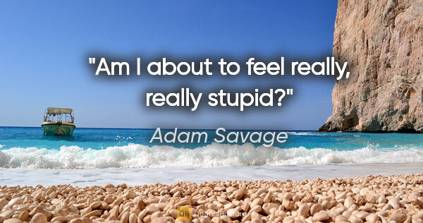 Adam Savage quote: "Am I about to feel really, really stupid?"