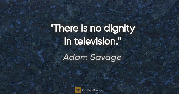 Adam Savage quote: "There is no dignity in television."