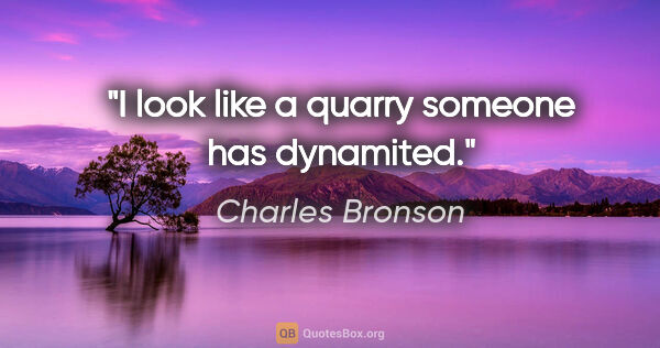 Charles Bronson quote: "I look like a quarry someone has dynamited."