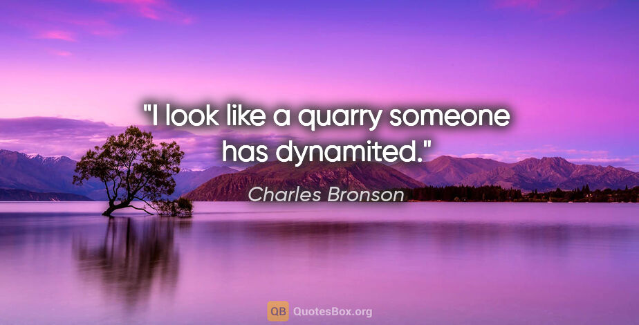 Charles Bronson quote: "I look like a quarry someone has dynamited."