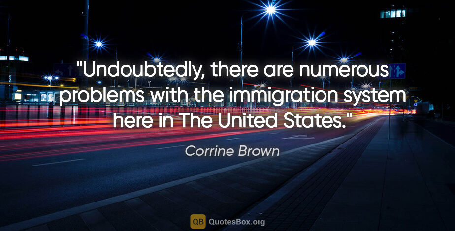 Corrine Brown quote: "Undoubtedly, there are numerous problems with the immigration..."