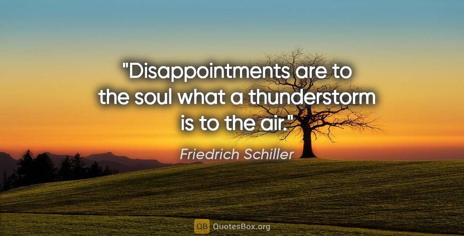 Friedrich Schiller quote: "Disappointments are to the soul what a thunderstorm is to the..."