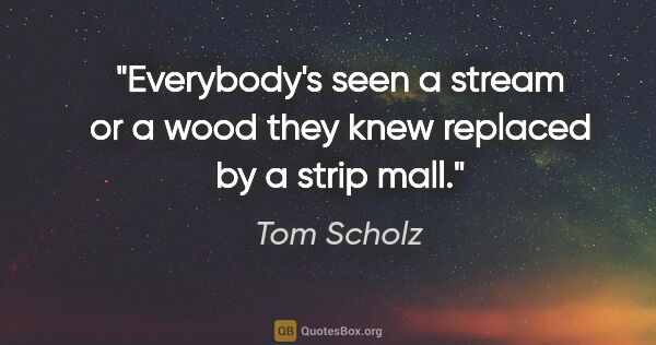 Tom Scholz quote: "Everybody's seen a stream or a wood they knew replaced by a..."