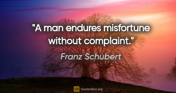 Franz Schubert quote: "A man endures misfortune without complaint."