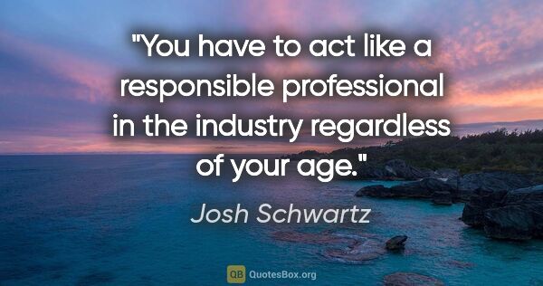 Josh Schwartz quote: "You have to act like a responsible professional in the..."