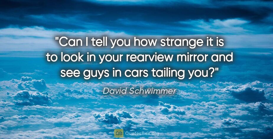 David Schwimmer quote: "Can I tell you how strange it is to look in your rearview..."