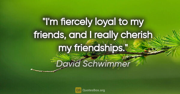 David Schwimmer quote: "I'm fiercely loyal to my friends, and I really cherish my..."