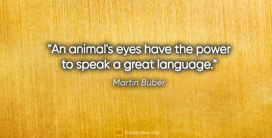 Martin Buber quote: "An animal's eyes have the power to speak a great language."