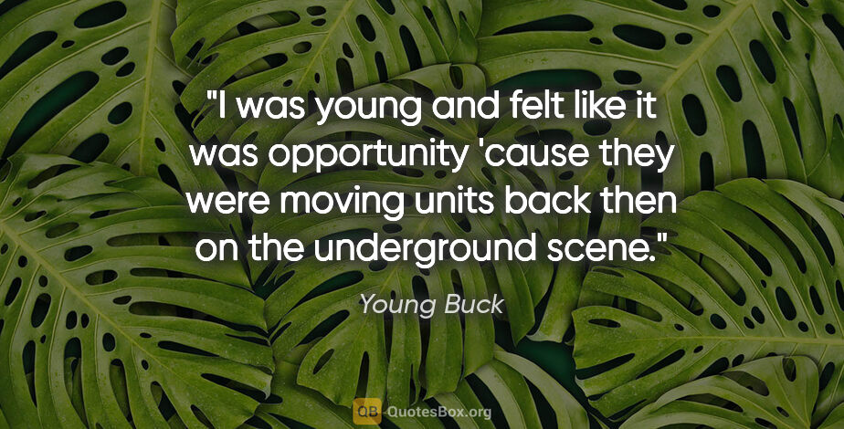 Young Buck quote: "I was young and felt like it was opportunity 'cause they were..."