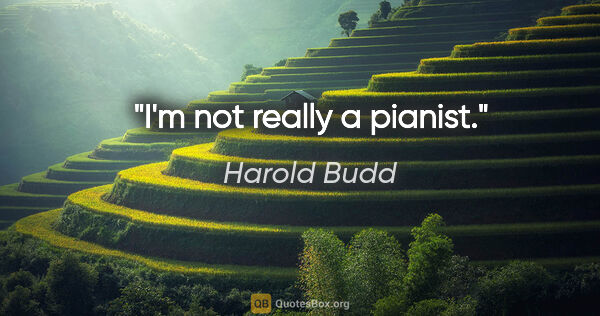 Harold Budd quote: "I'm not really a pianist."