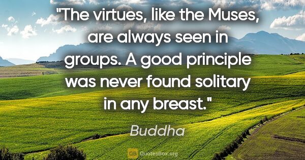 Buddha quote: "The virtues, like the Muses, are always seen in groups. A good..."
