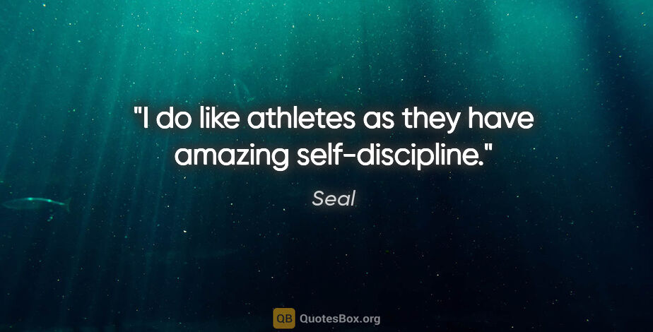 Seal quote: "I do like athletes as they have amazing self-discipline."