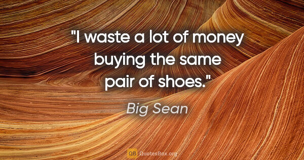 Big Sean quote: "I waste a lot of money buying the same pair of shoes."