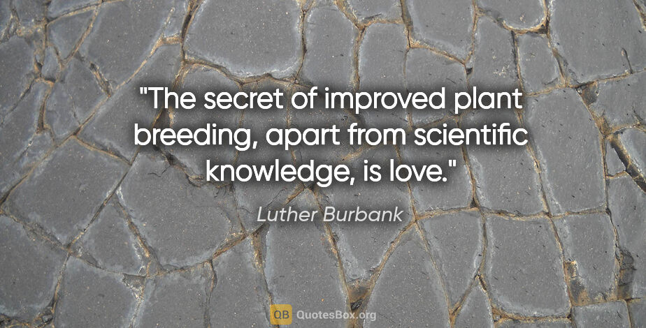 Luther Burbank quote: "The secret of improved plant breeding, apart from scientific..."