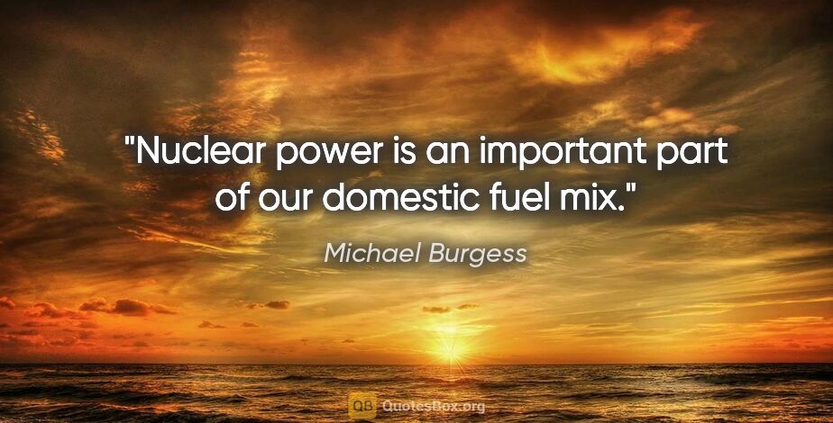 Michael Burgess quote: "Nuclear power is an important part of our domestic fuel mix."