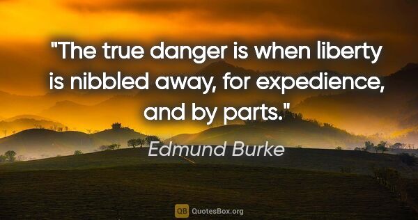 Edmund Burke quote: "The true danger is when liberty is nibbled away, for..."