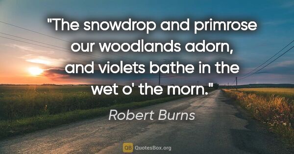 Robert Burns quote: "The snowdrop and primrose our woodlands adorn, and violets..."