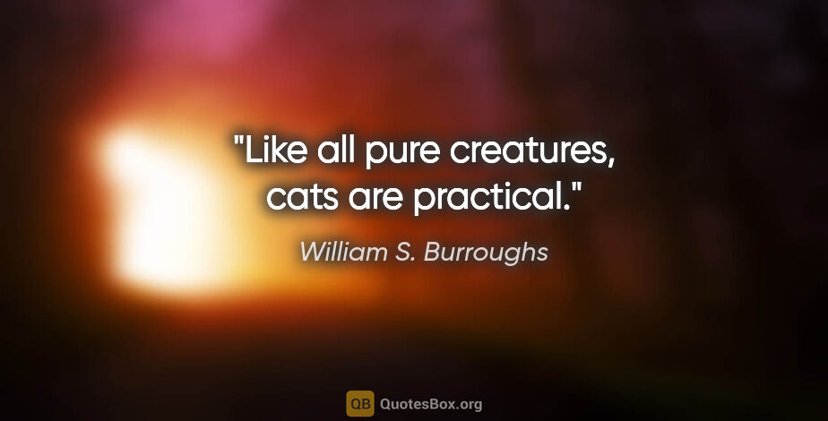 William S. Burroughs quote: "Like all pure creatures, cats are practical."