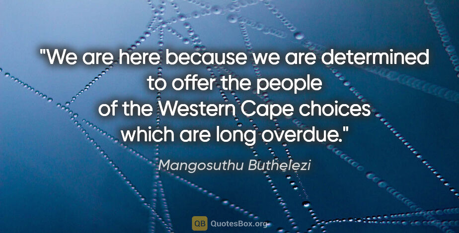 Mangosuthu Buthelezi quote: "We are here because we are determined to offer the people of..."