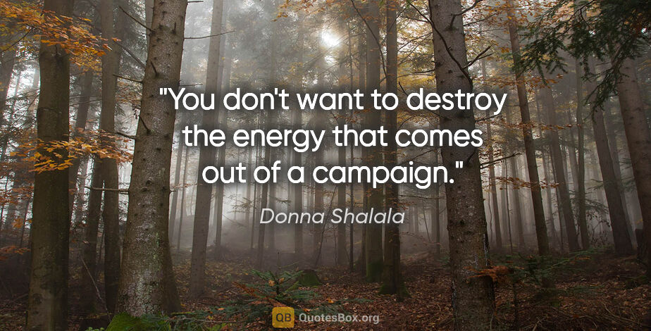 Donna Shalala quote: "You don't want to destroy the energy that comes out of a..."
