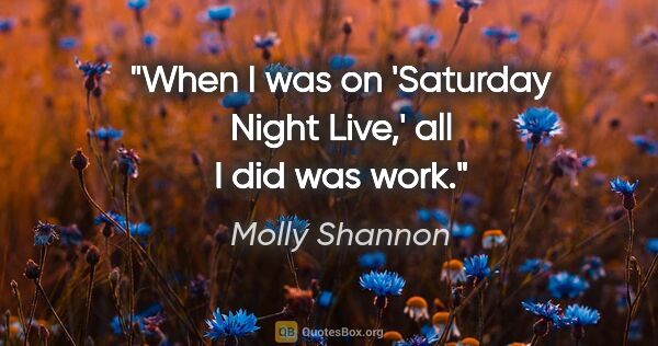Molly Shannon quote: "When I was on 'Saturday Night Live,' all I did was work."