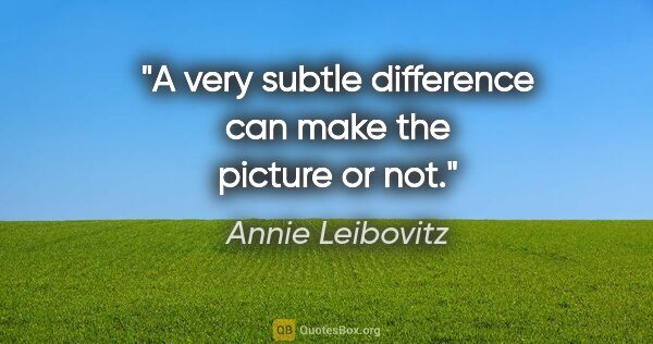Annie Leibovitz quote: "A very subtle difference can make the picture or not."
