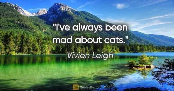 Vivien Leigh quote: "I've always been mad about cats."
