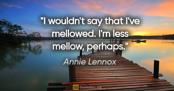 Annie Lennox quote: "I wouldn't say that I've mellowed. I'm less mellow, perhaps."