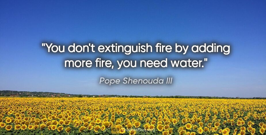 Pope Shenouda III quote: "You don't extinguish fire by adding more fire, you need water."