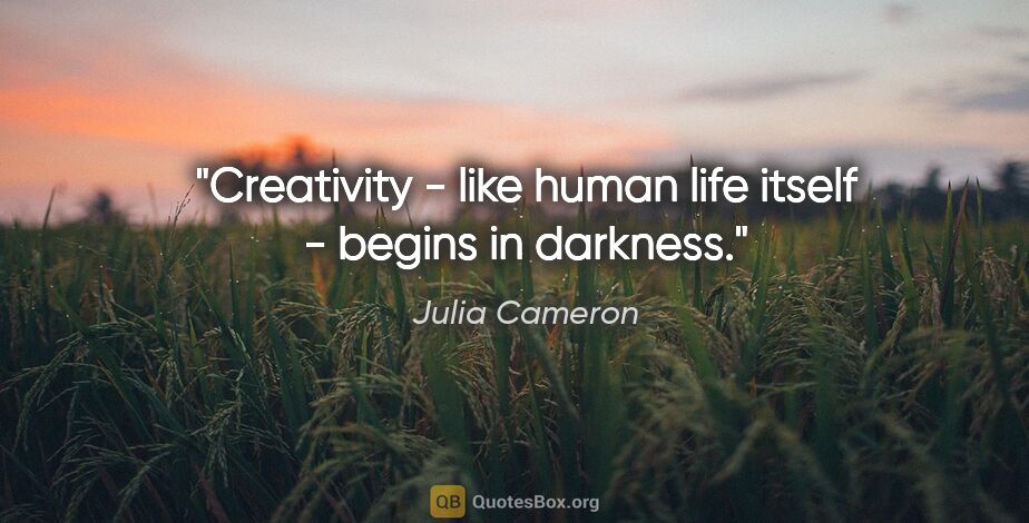 Julia Cameron quote: "Creativity - like human life itself - begins in darkness."