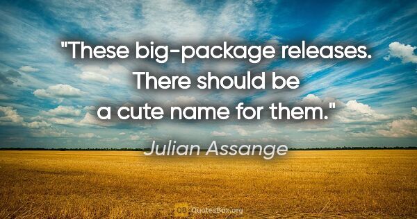 Julian Assange quote: "These big-package releases. There should be a cute name for them."