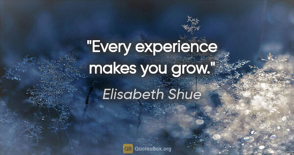 Elisabeth Shue quote: "Every experience makes you grow."