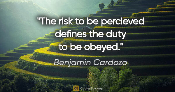 Benjamin Cardozo quote: "The risk to be percieved defines the duty to be obeyed."