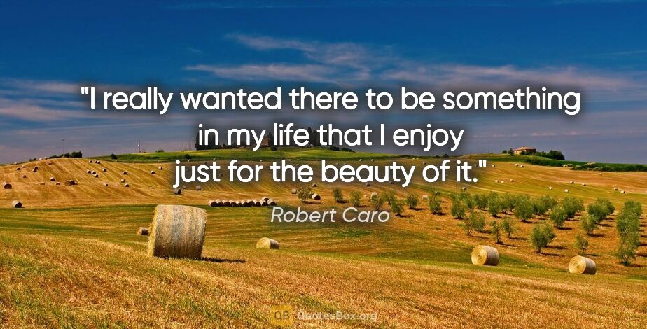 Robert Caro quote: "I really wanted there to be something in my life that I enjoy..."