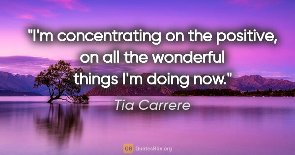 Tia Carrere quote: "I'm concentrating on the positive, on all the wonderful things..."