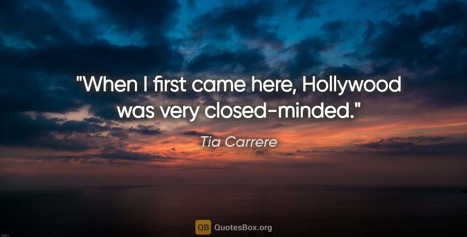 Tia Carrere quote: "When I first came here, Hollywood was very closed-minded."